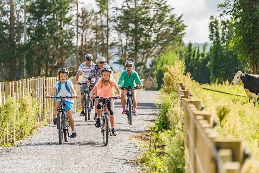 Pou Herenga Tai Twin Coast Cycle Trail Trust